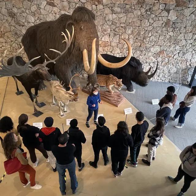 Laissez-vous guider au musée_Quinson