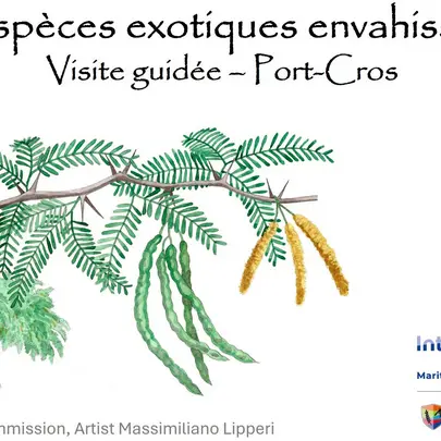Balade nature Port-Cros : les trésors du Var menacés_Hyères