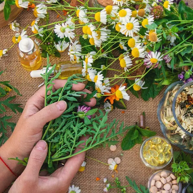 Conférence sur la naturopathie