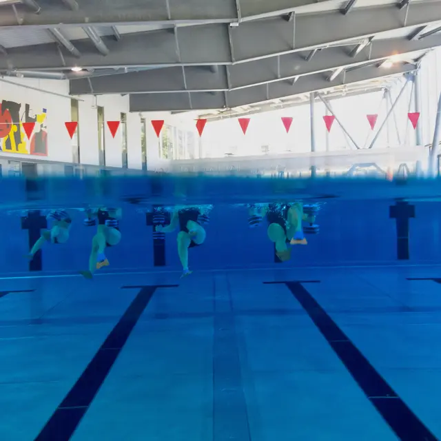 Activité aqua cardio scult