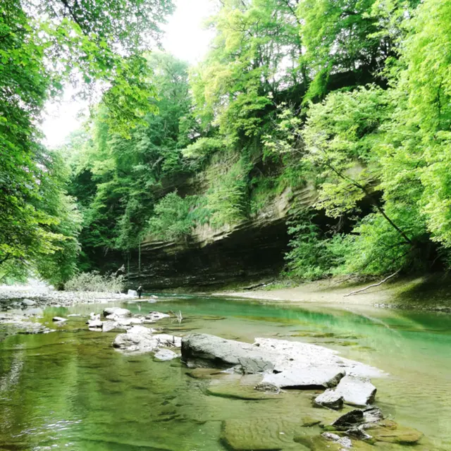 Les gardiens du Chéran l Renc'Arts du Parc_Cusy