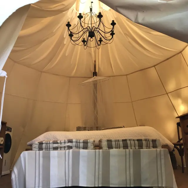 Niki's TIPI entrée