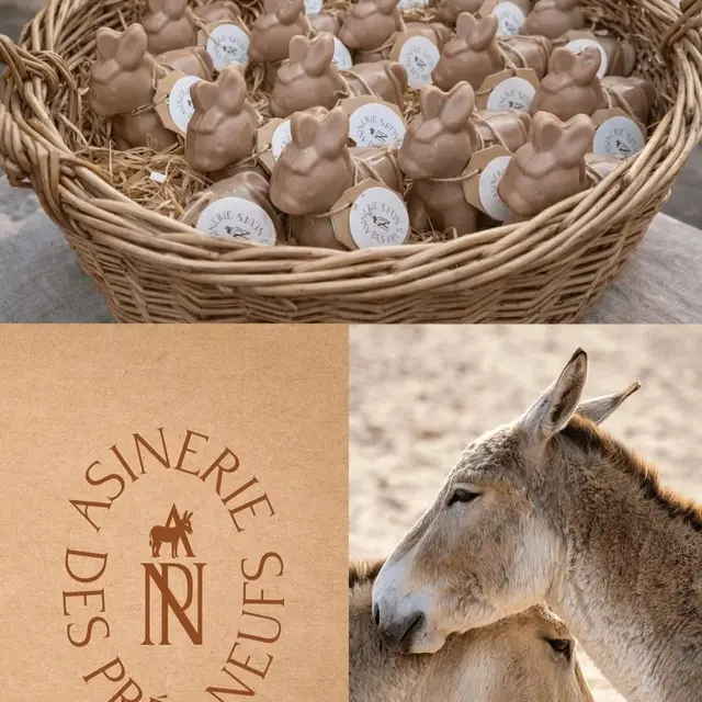 L'Asinerie des Prés Neufs_Noves