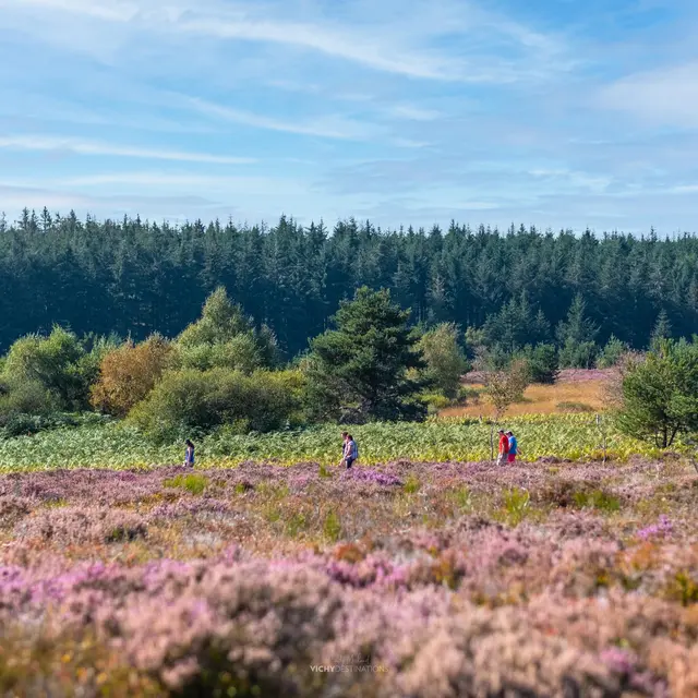Plateau de la Verrerie à Saint-Nicolas-des-Biefs