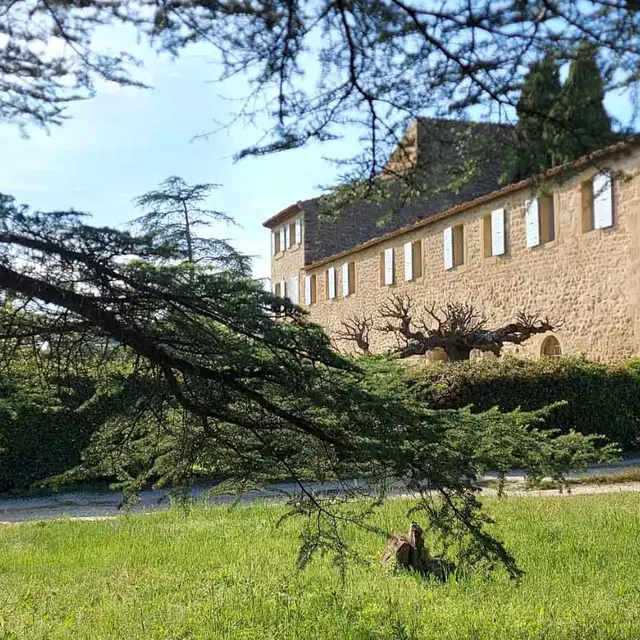 Château Saint-Pierre de Mejans