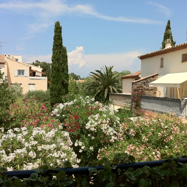 Vue sur le jardin depuis la terrasse