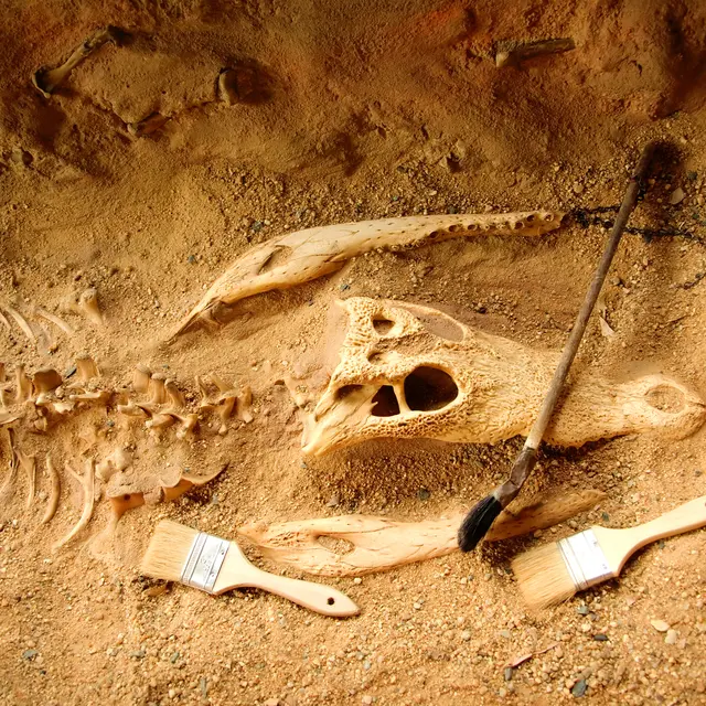 Mini-fouilles archéologiques_Cluses