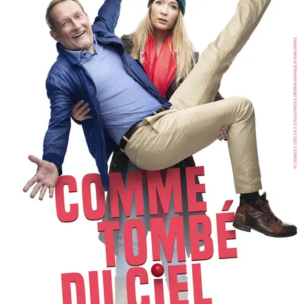 Affiche_Comme tombé du ciel