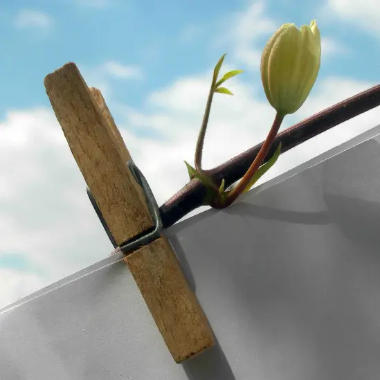 Atelier - La grande lessive_La Grand-Combe