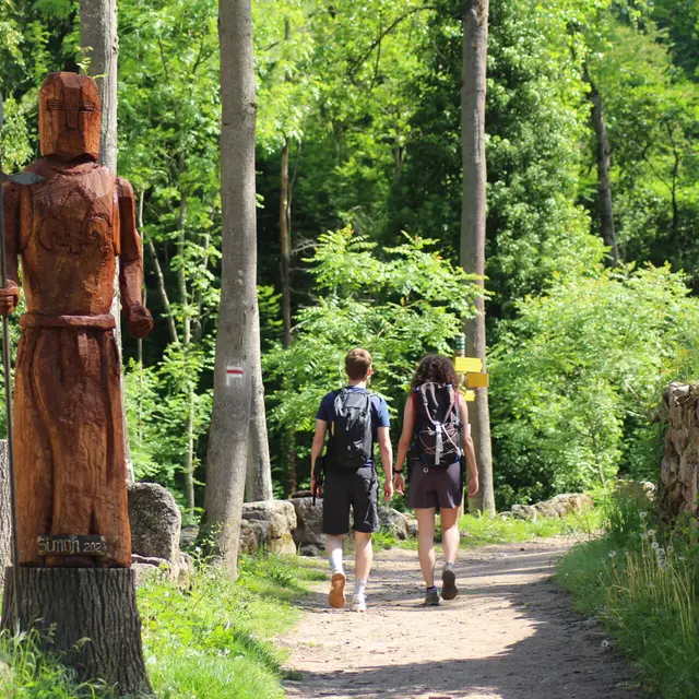 Site et jardin médiévaux de Donzy_Salt-en-Donzy
