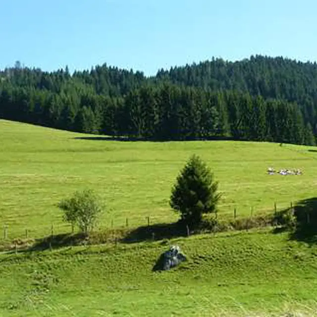 Les Chalets de Trécout