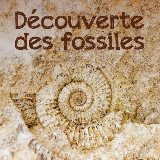 Découverte des fossiles_Valberg