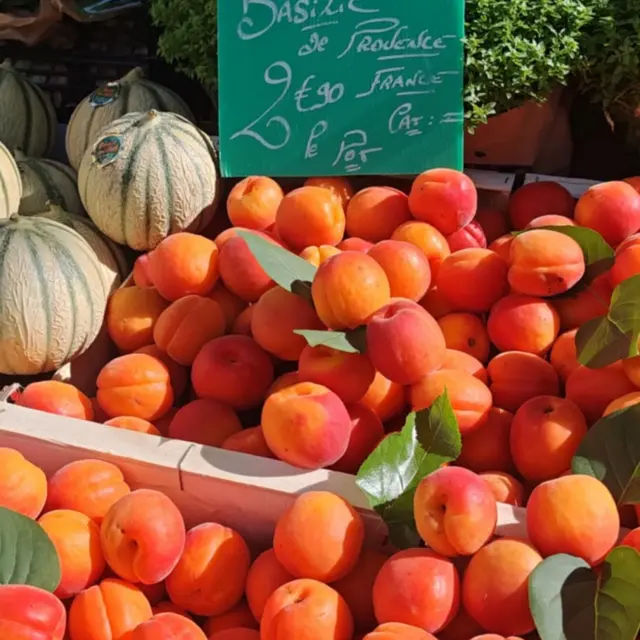 Tour du marché et terroir local_Aix-en-Provence