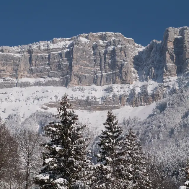 Boucle de Tencovaz - Entremont le Vieux