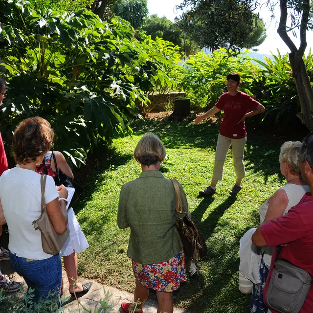 Visite guidée botanique