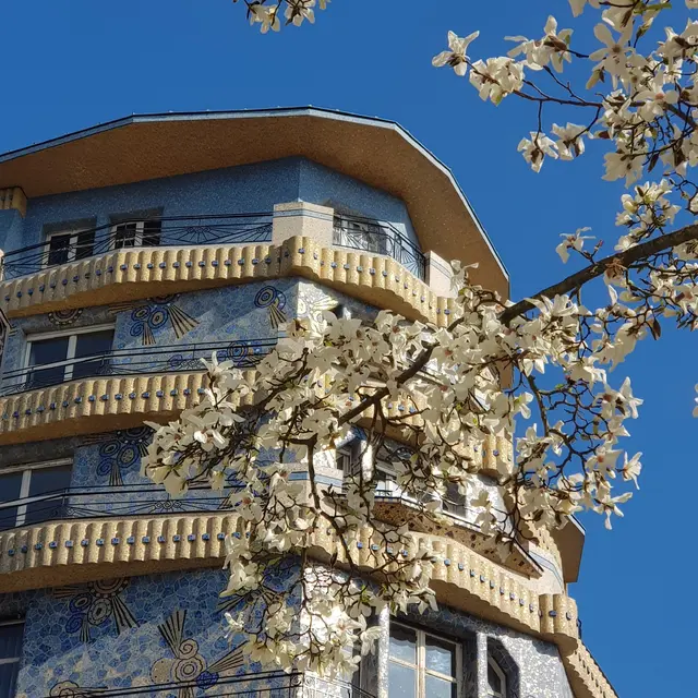 Bulles de Culture Matinales Mini_Angers