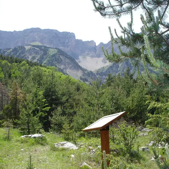Journée botanique à la découverte des plantes médicinales des Hautes-Alpes
