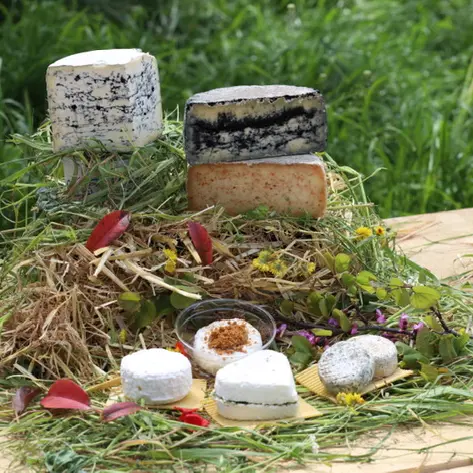 SCEA La Ferme de Manon_Saint-Maximin-la-Sainte-Baume