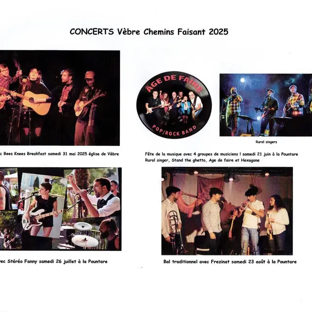 Concert de Rock_Vèbre