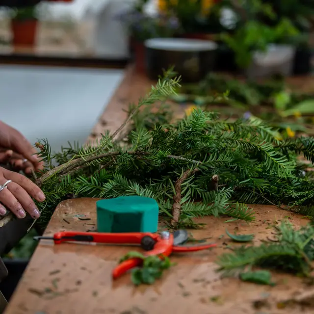 Folie(s) Végétales 2026 - Atelier greffe d'arbres_Thonon-les-Bains