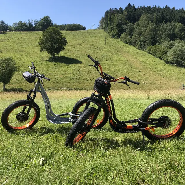 Trottinette tout terrain électrique