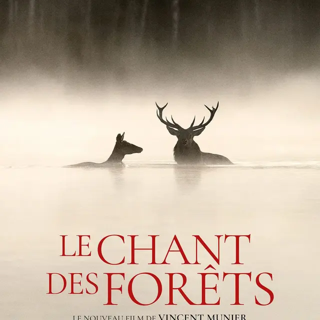 Film Le chant des forêts