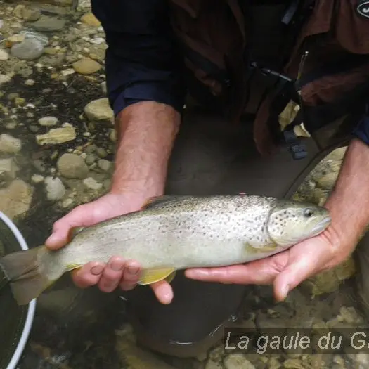 Berges du Guiers en Chartreuse