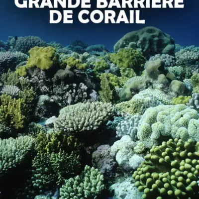 Diffusion Musée Micro-Folie -Les défis de la Grande Barrière de Corail_Monteux