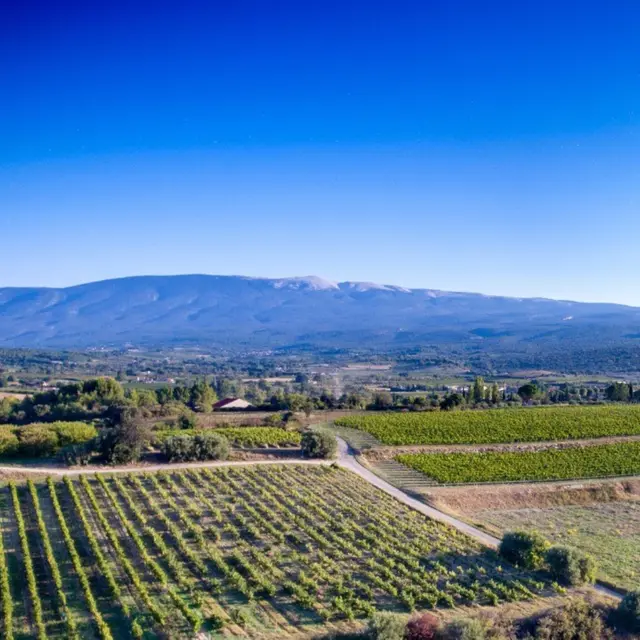 Festival Ventoux Saveurs : Balade vigneronne et dégustation_Villes-sur-Auzon