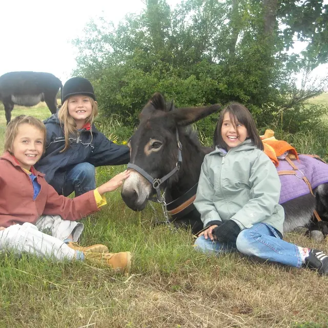 L'âne mon compagnon