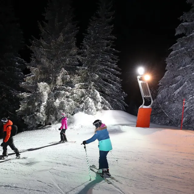 Monoski Trophy_Le Collet