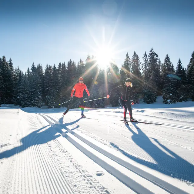 Ski de fond