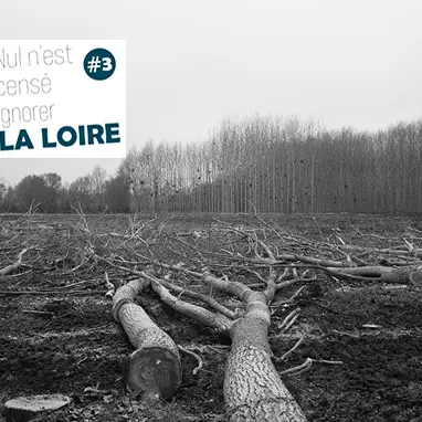 expédition photo