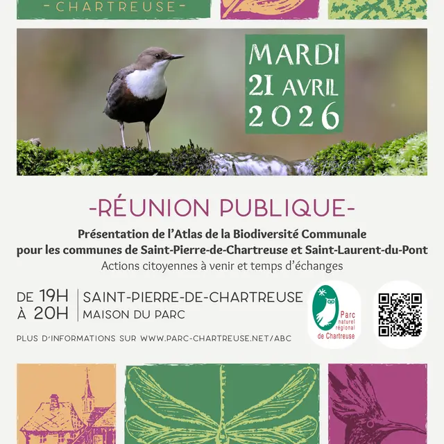 Affiche réunion publique de présentation de l'Atlas de Biodiversité Communale
