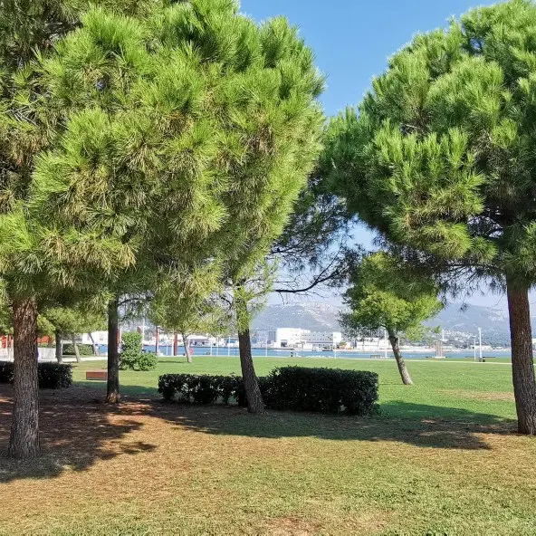 Parc de la Navale