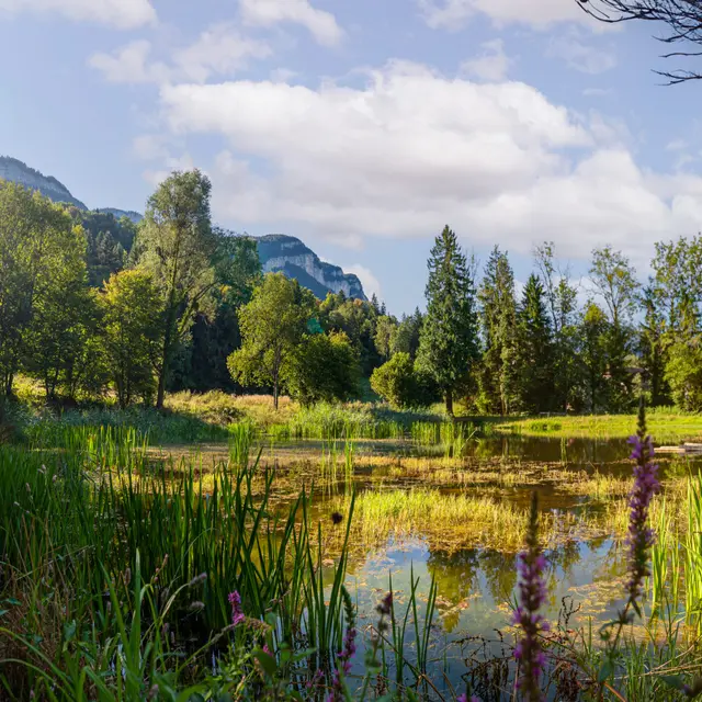 Les Fêtes de la Chartreuse - Visite environnementale du site de production Chartreuse®_Entre-deux-Guiers