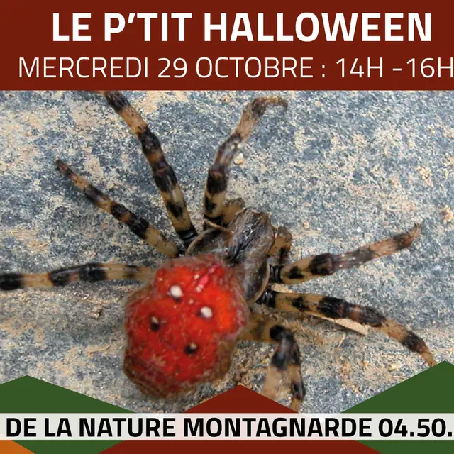 Les P'tits Experts de la Nature® - Le P'tit Halloween_Sallanches
