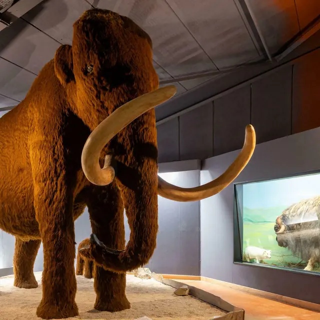 Vacances d'hiver : visite commentée Vin et Préhistoire : saveurs et histoire à partager