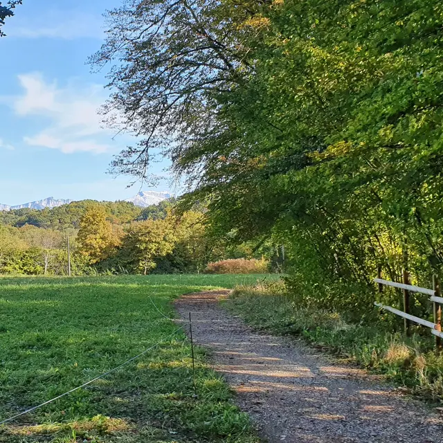 Chemin des Châteaux