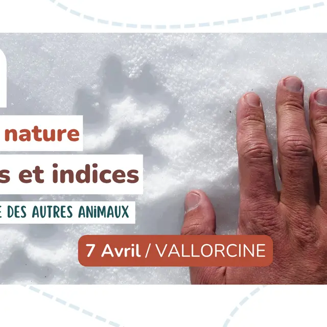 Sortie nature - Traces et indices de la faune_Vallorcine
