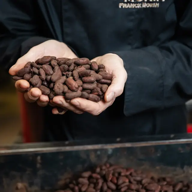 Visites exclusives de la Chocolaterie Morin_Donzère
