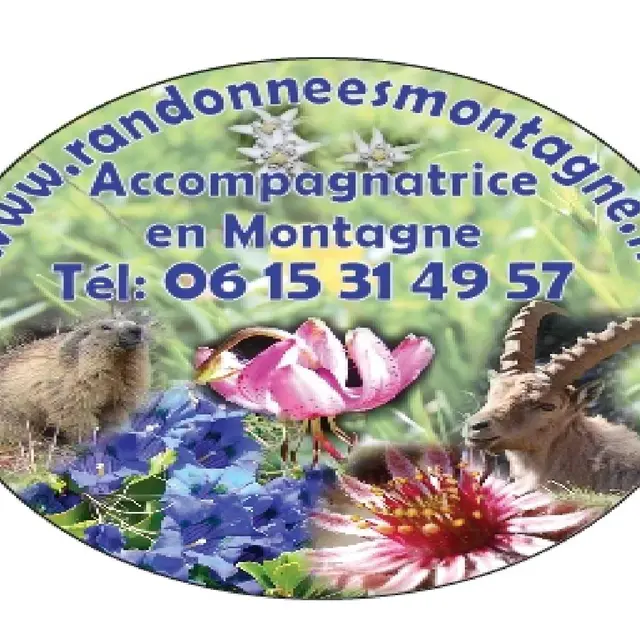 randonnée montagne flore haut verdon mercantour
