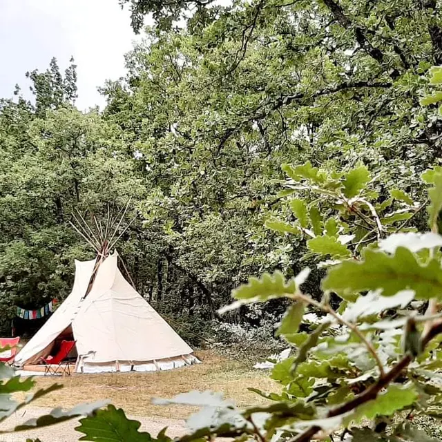 Tipi