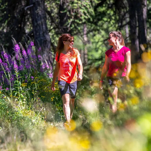 Randonnée en forêt