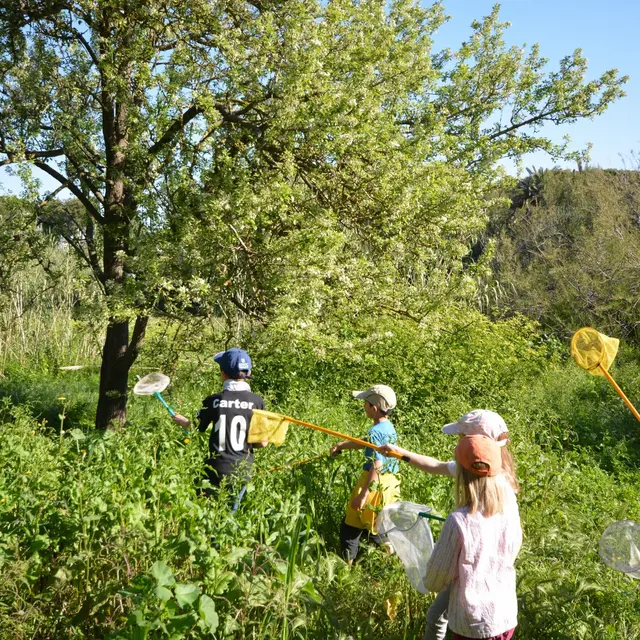 Visite nature Fernando Sandoval petit parcours dans le maquis presqu'île de Giens