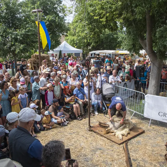 Foire de la Laine