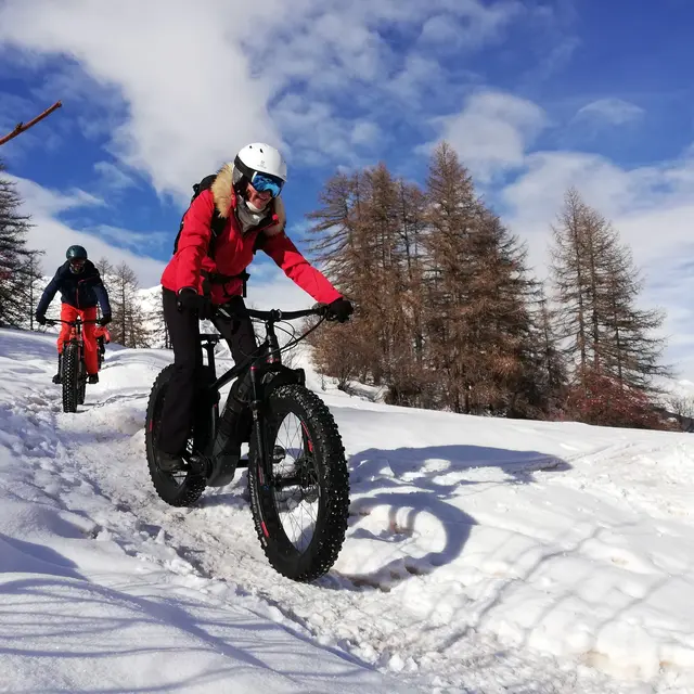 fatbike