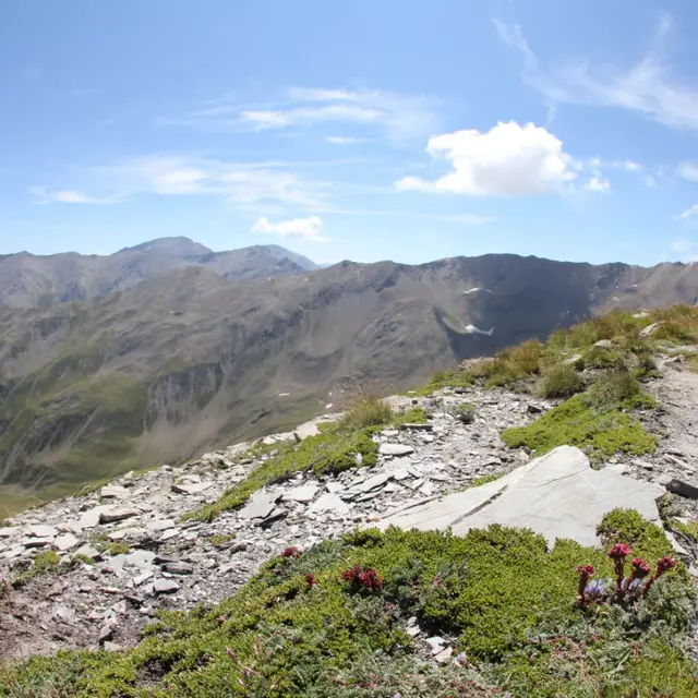 Skyrace Les Orres_Les Orres