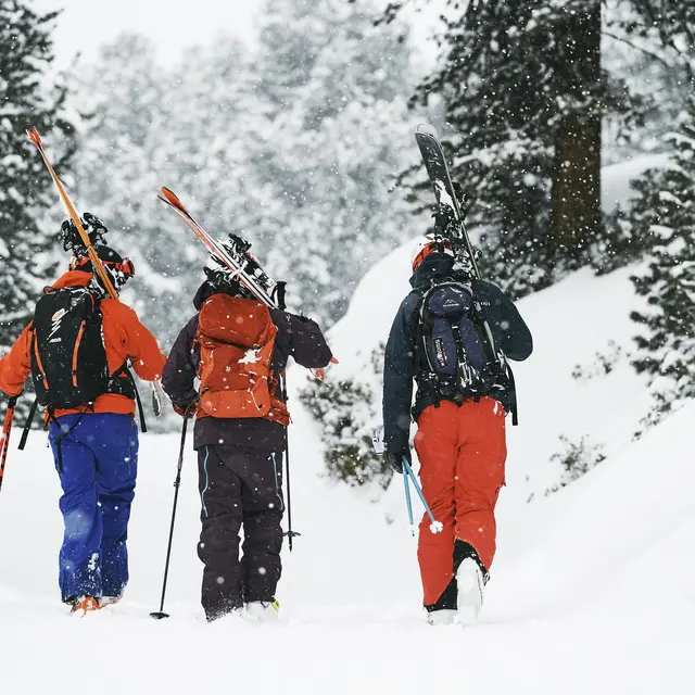 Ski en forêt avec TDCski