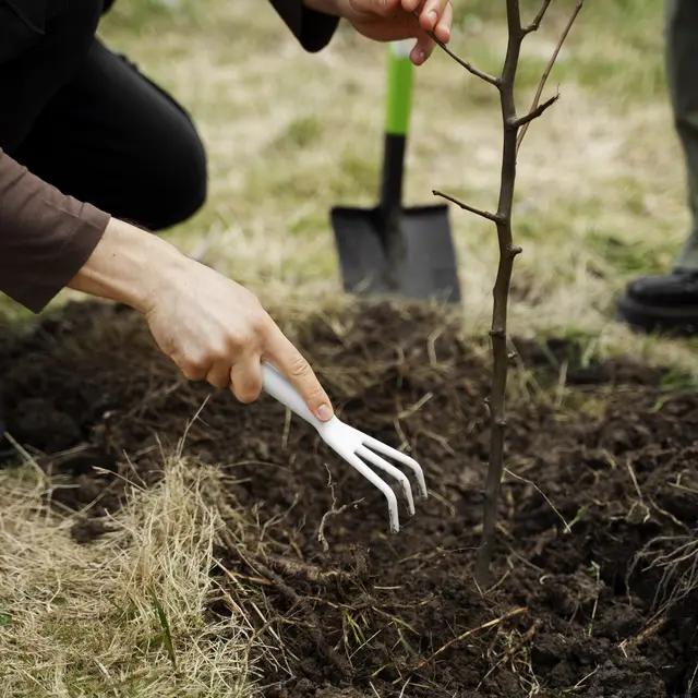 Atelier greffe à la Maison de la Châtaigne_Mourjou